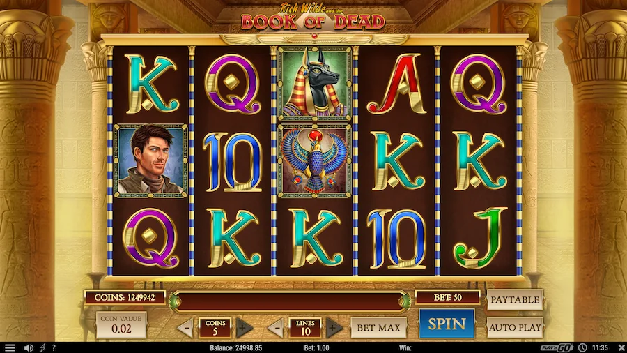 Book Of Dead Go Play N Go