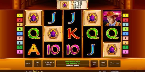 Expanding Symbol Landing On The Reels During The Bonus On Book Of Ra Classic