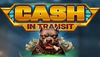 Cash In Transit Slot