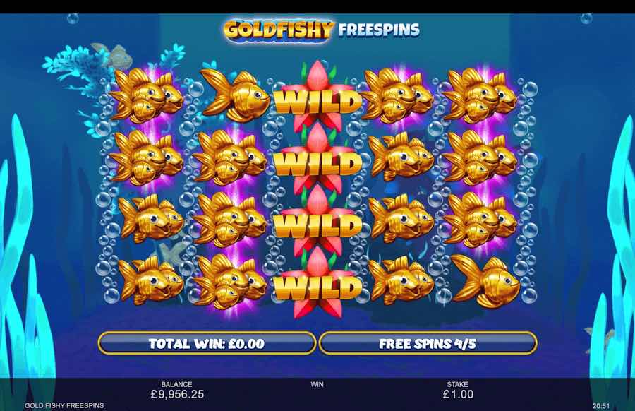 Goldfishy Free Spins Bonus Feature 