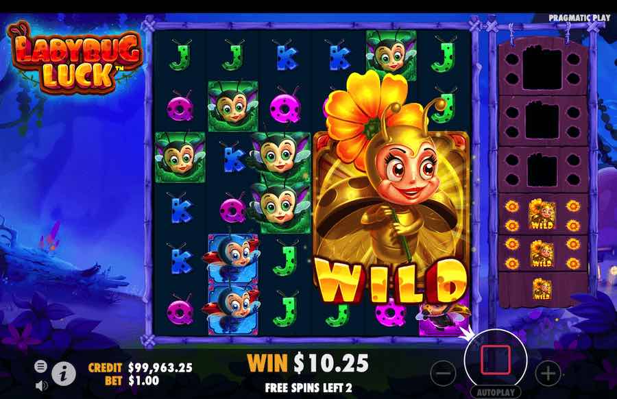 Ladybug Luck Free Spins Feature