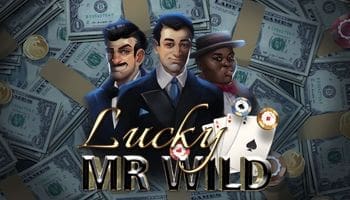 Lucky Mr Wild Slot