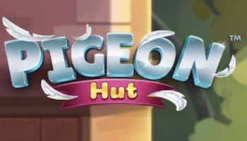 Pigeon Hut Slot