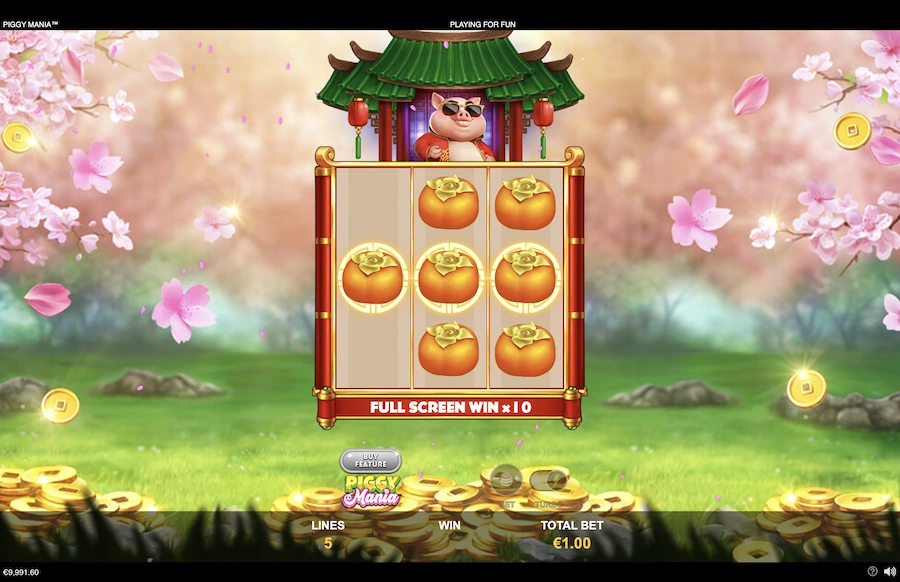 Piggy Mania Slot Playtech