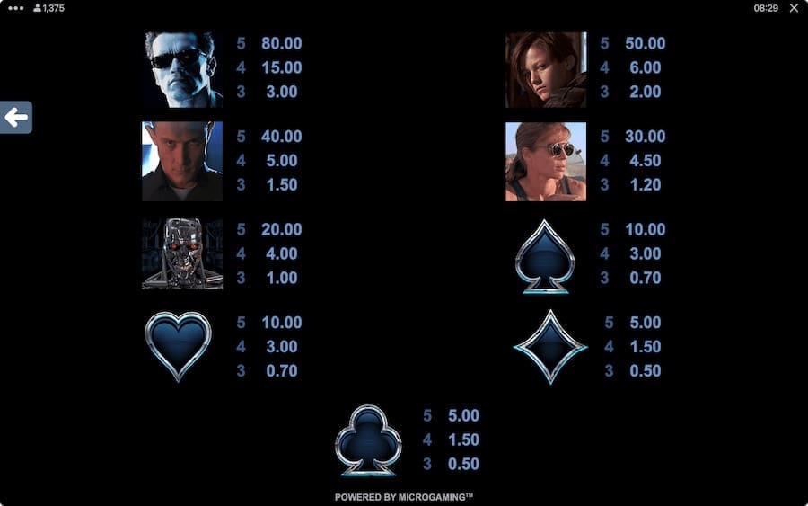 Terminator 2 Slot