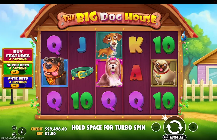 The Big Dog House Gameplay